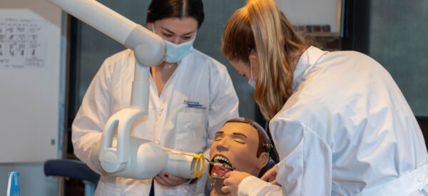 ACI Medical & Dental School | In Demand Career Spotlight: What Does A Dental Assistant Do?