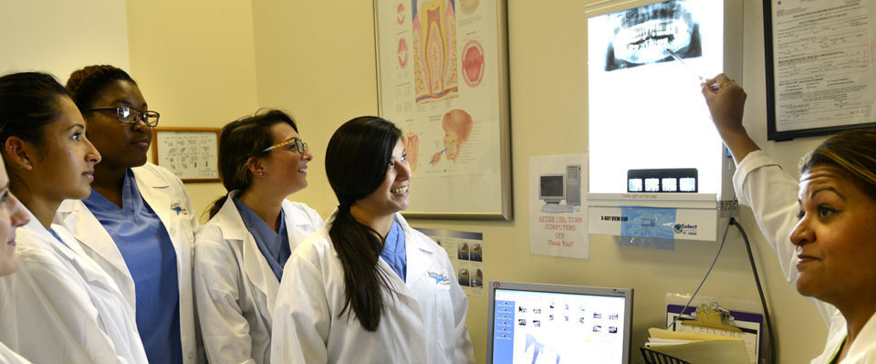 ACI Medical & Dental School | Dental Radiology Program