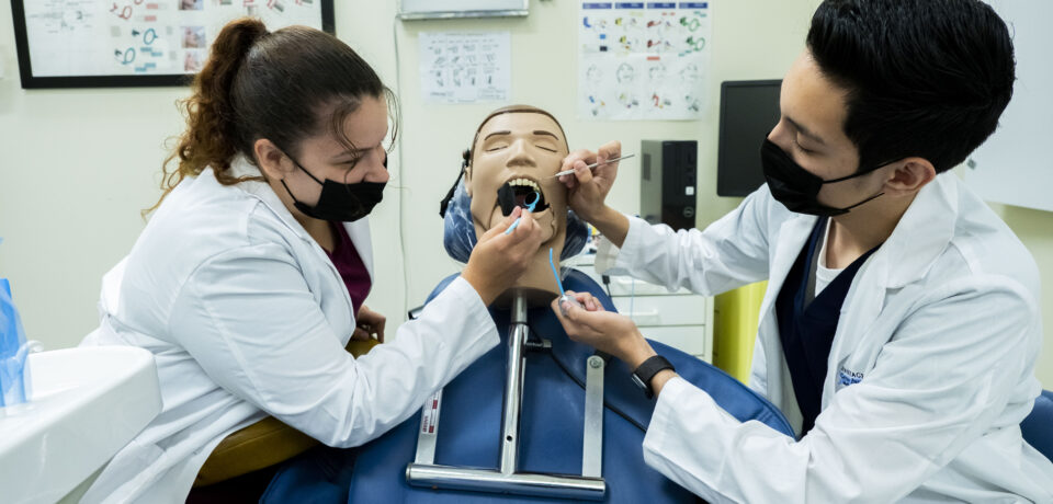 ACI Medical & Dental School | Dental Assistant Training Program